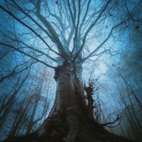 Dance For Me - Single - Under Static Movement