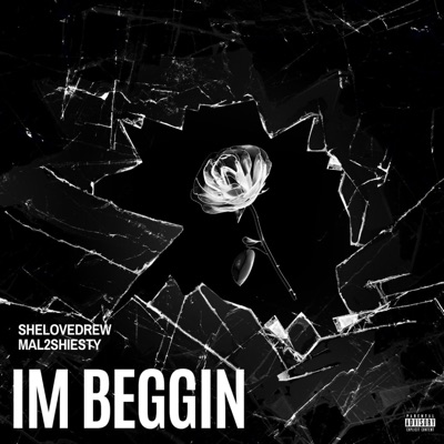Im Beggin (feat. Mal2Shiesty) - Single