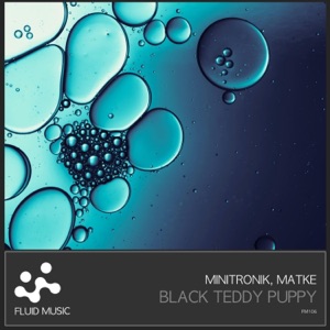 Black Teddy Puppy - Single