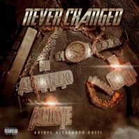 Never Changed - Single - Abioye Alejandro Gotti