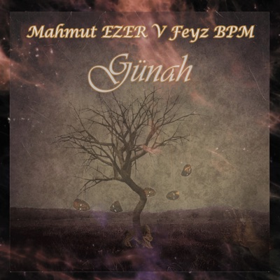 Günah (feat. Feyk Bpm) - Single