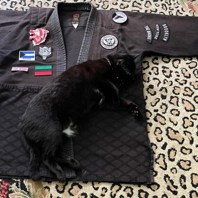 Tomoe's Theme - Single