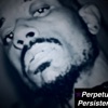 Perpetual Persistence