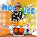 Reinorgeln
