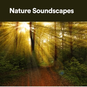 Nature Soundscapes