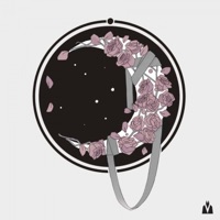 Throwing Stones - Single - Tim Schaufert & CASHFORGOLD