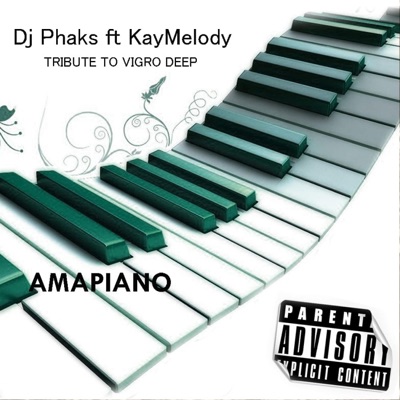 Tribute to vigro deep (KayMelody Remix Radio Edit) - Single