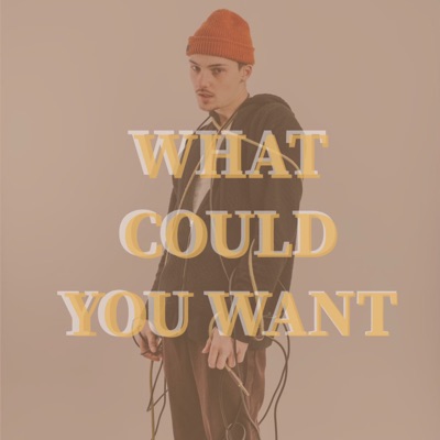 What Could You Want - Single
