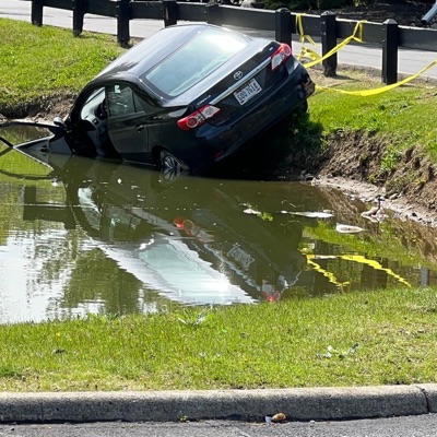 Im Back Bitch - Single