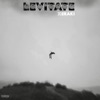 Levitate - Single