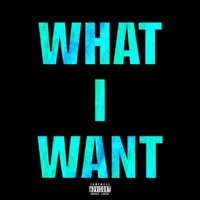 What I Want - Single - Howerton & Zeke The Commoner
