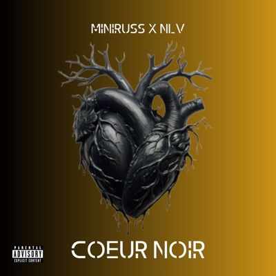 cœur noir (feat. NLV) - Single