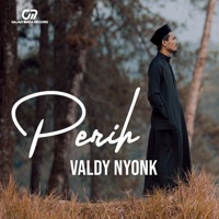 Perih - Single - Valdy Nyonk
