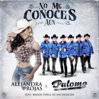 No Me Conoces Aún (feat. Banda Perla de Michoacan) - Single - Alejandra Rojas & Palomo