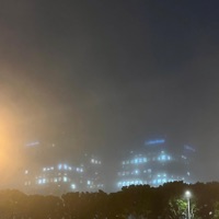 #9 (feat. Genkai) - Single - Sledge