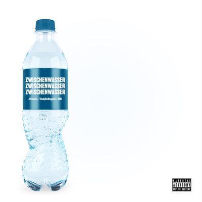 Zwischenwasser - Single