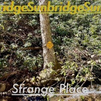Album cover for RIP Lil Peep$ 40,00..0..0,00000.000 by Sunbridge