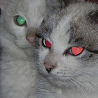 Drug Me idc (feat. Wheels) - Single - Hayd3n