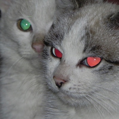 Drug Me idc (feat. Wheels) - Single