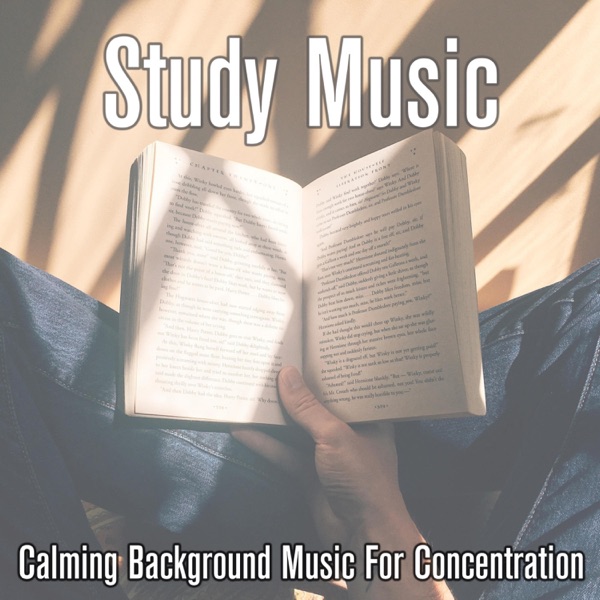 Study Music: Calming BGM for Concentration