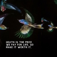 Death Is the Price We Pay for Life, so Make It Worth It. - Single - Sergio Gusto