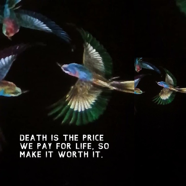 Death Is the Price We Pay for Life, so Make It Worth It.