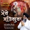 Mere Satgura - Bhai Lakhwinder Singh Ji Hazuri Ragi Sri Darbar Sahib lyrics