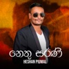 Nethu Sarani - Single