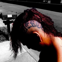 Sedatives - Single - Tryp Flo