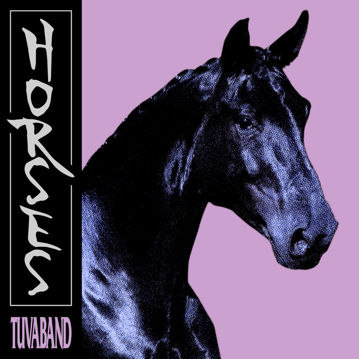 Альбом лошадки. Tuvaband. Horse музыкальный альбом. Хорс исполнитель. "Tuvaband" "i entered the Void".
