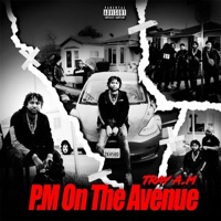 P.M On The Avenue. - Tray A.M