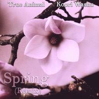 Spring (feat. Koori Washu) - Single - True Animal
