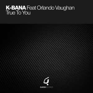 True to You (feat. Orlando Vaughan)