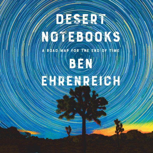 Desert Notebooks cover