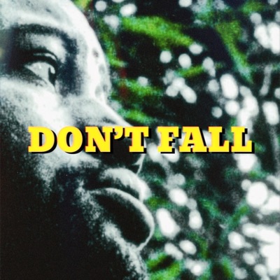 Don't Fall - Single