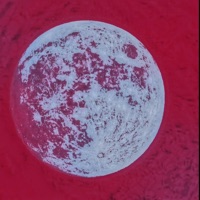 Apollo - Single - Laztier