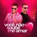 VOCÊ NÃO SOUBE ME AMAR