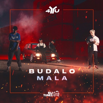 Budalo Mala - Single
