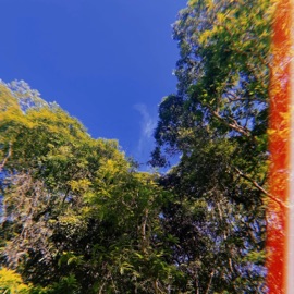 What You Need (feat. Nxrthstar) Kasology