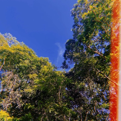 What You Need (feat. Nxrthstar) - Single