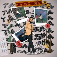 Tamasha (Intro) (feat. 9ANO) - Single - Zeher
