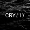 CryLiy - Н. С. Т. Б.