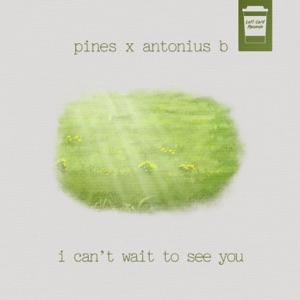I Can't Wait To See You