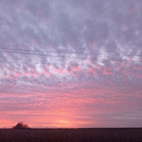 Suicide - Single - Cursed Void