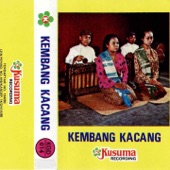 Bawa: Dandanggula Semarangan, katampen-Dengang Semarang Slendro 9 (feat. Riris Raras Irama) artwork