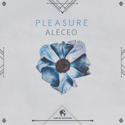 Pleasure - Single