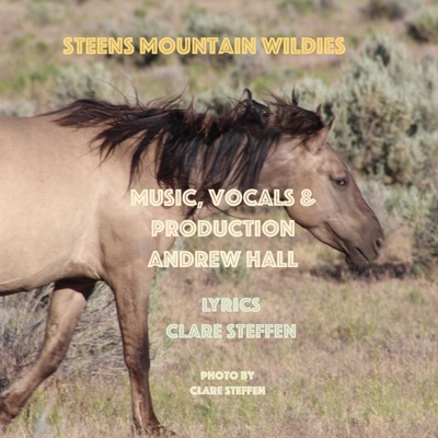Steens Mountain Wildies (feat. Andrew Hall) - Single