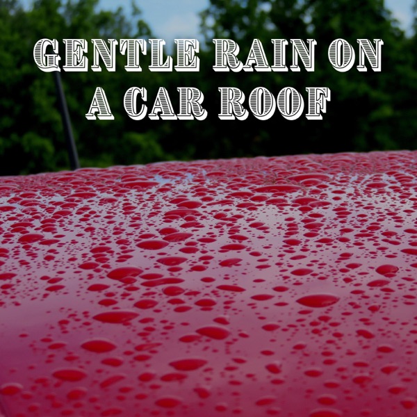 Gentle Rain on a Car Roof