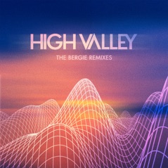 The Bergie Remixes - EP