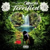 Terrified - Single